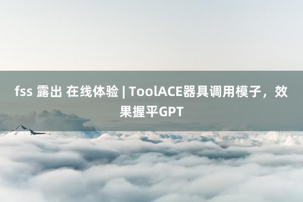 fss 露出 在线体验 | ToolACE器具调用模子，效果握平GPT