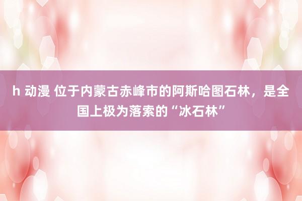 h 动漫 位于内蒙古赤峰市的阿斯哈图石林，是全国上极为落索的“冰石林”