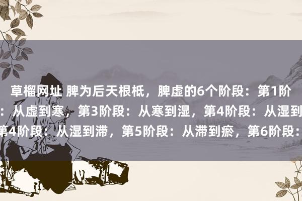草榴网址 脾为后天根柢，脾虚的6个阶段：第1阶段：从强到虚，第2阶段：从虚到寒，第3阶段：从寒到湿，第4阶段：从湿到滞，第5阶段：从滞到瘀，第6阶段：从瘀到闭
