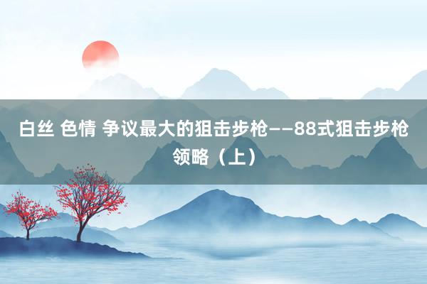 白丝 色情 争议最大的狙击步枪——88式狙击步枪领略（上）