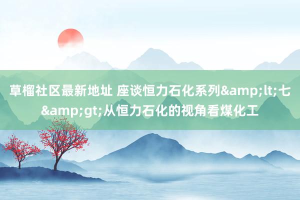 草榴社区最新地址 座谈恒力石化系列&lt;七&gt;从恒力石化的视角看煤化工