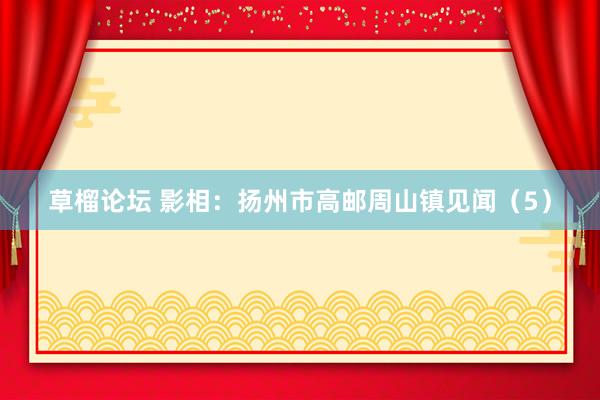 草榴论坛 影相：扬州市高邮周山镇见闻（5）