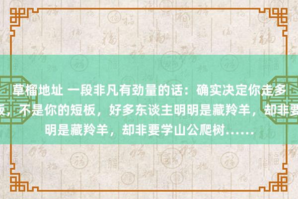 草榴地址 一段非凡有劲量的话：确实决定你走多远的，是你的长板，不是你的短板，好多东谈主明明是藏羚羊，却非要学山公爬树……