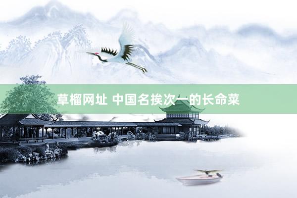 草榴网址 中国名挨次一的长命菜