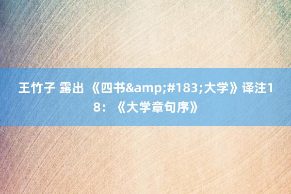 王竹子 露出 《四书&#183;大学》译注18：《大学章句序》