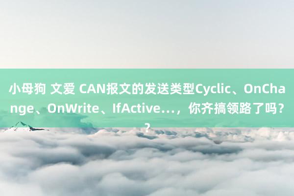 小母狗 文爱 CAN报文的发送类型Cyclic、OnChange、OnWrite、IfActive…，你齐搞领路了吗？