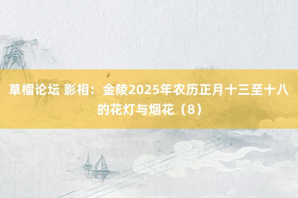 草榴论坛 影相：金陵2025年农历正月十三至十八的花灯与烟花（8）