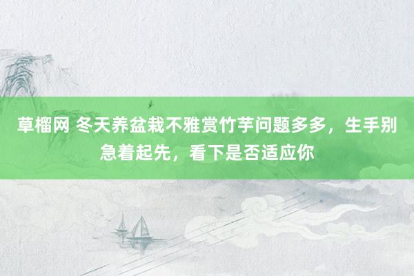 草榴网 冬天养盆栽不雅赏竹芋问题多多，生手别急着起先，看下是否适应你