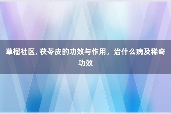 草榴社区， 茯苓皮的功效与作用，治什么病及稀奇功效