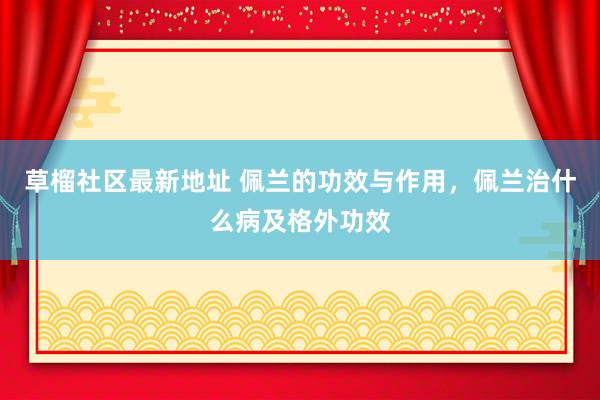 草榴社区最新地址 佩兰的功效与作用，佩兰治什么病及格外功效