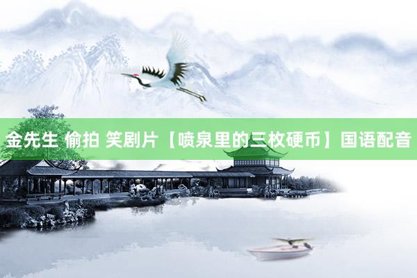 金先生 偷拍 笑剧片【喷泉里的三枚硬币】国语配音